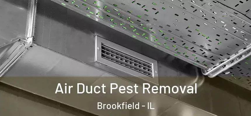 Air Duct Pest Removal Brookfield - IL