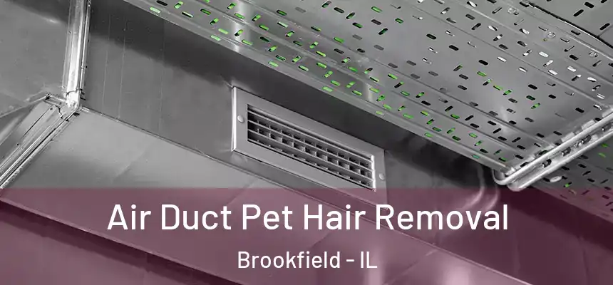Air Duct Pet Hair Removal Brookfield - IL