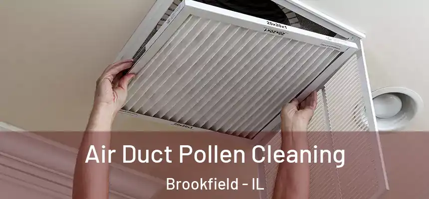 Air Duct Pollen Cleaning Brookfield - IL