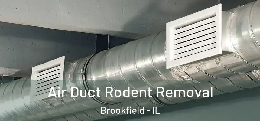 Air Duct Rodent Removal Brookfield - IL