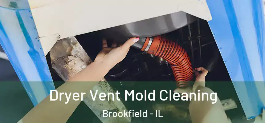Dryer Vent Mold Cleaning Brookfield - IL