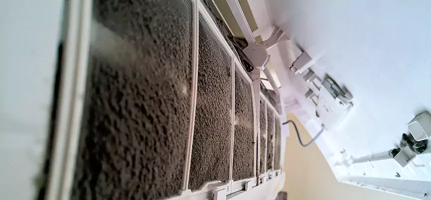 Preventive Air Duct Bacteria Removal in Brookfield