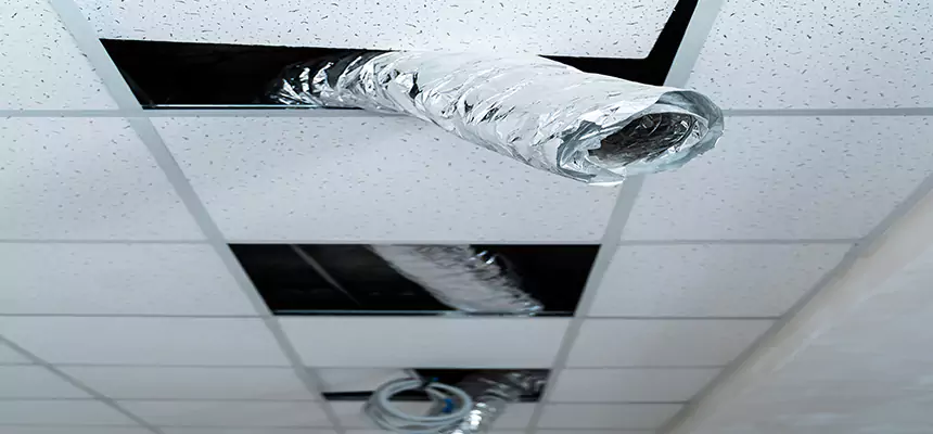 Our Air Duct Pet Hair Removal Services in Brookfield, IL