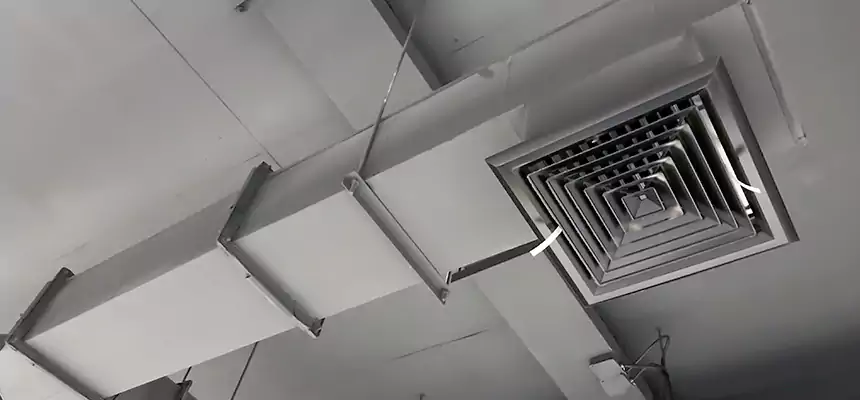 Our Rodent Droppings In Vents Services in Brookfield, IL