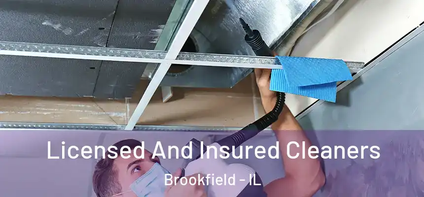 Licensed And Insured Cleaners Brookfield - IL