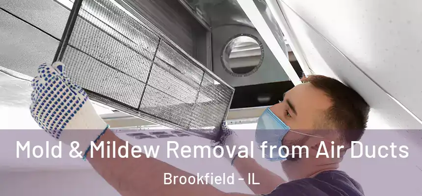  Mold & Mildew Removal from Air Ducts Brookfield - IL