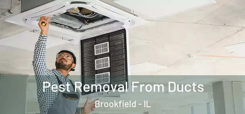 Pest Removal From Ducts Brookfield - IL