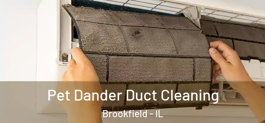  Pet Dander Duct Cleaning Brookfield - IL