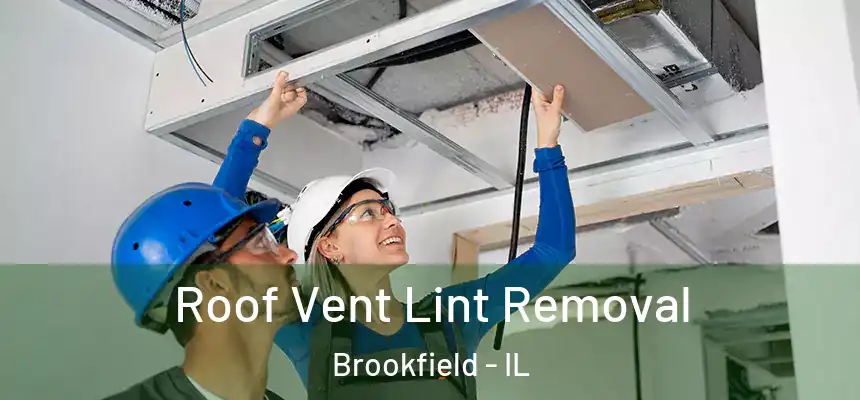 Roof Vent Lint Removal Brookfield - IL