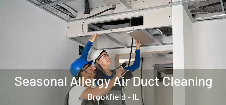 Seasonal Allergy Air Duct Cleaning Brookfield - IL