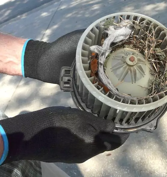 About Air Duct Mice Removal in Brookfield, IL