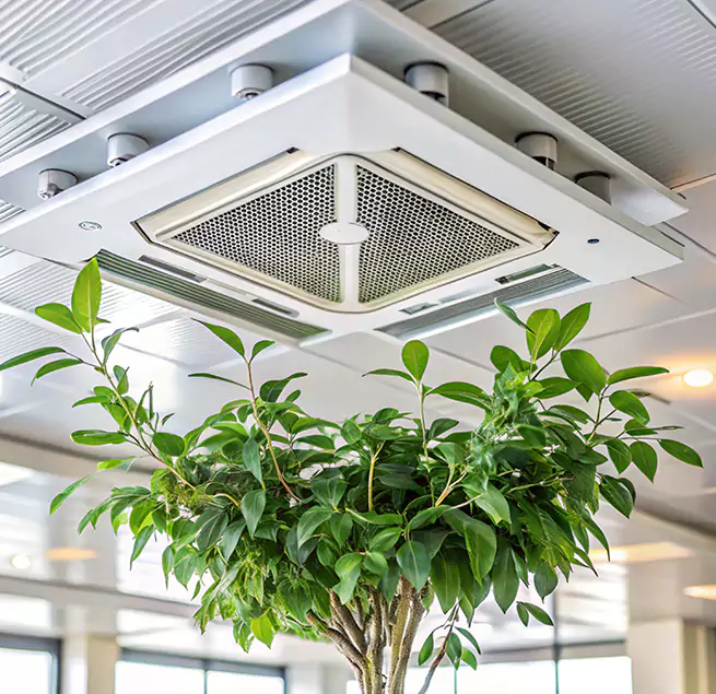 Why Homeowners & Businesses Trust Us in Brookfield, IL