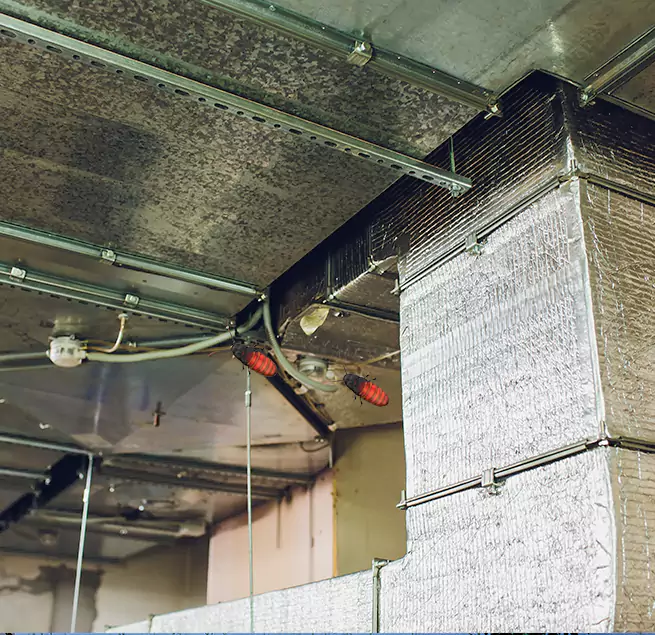 Why Homeowners & Businesses Trust Us Brookfield, IL?