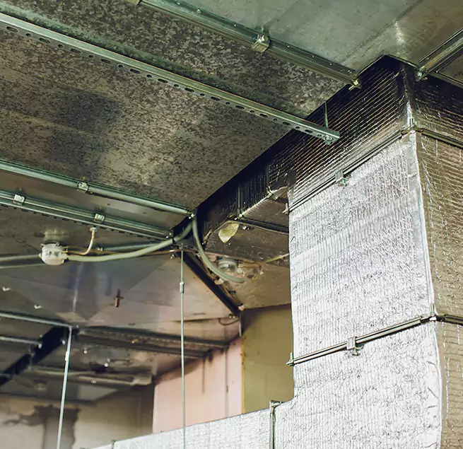 Why Homeowners & Businesses Trust Us in Brookfield, IL?